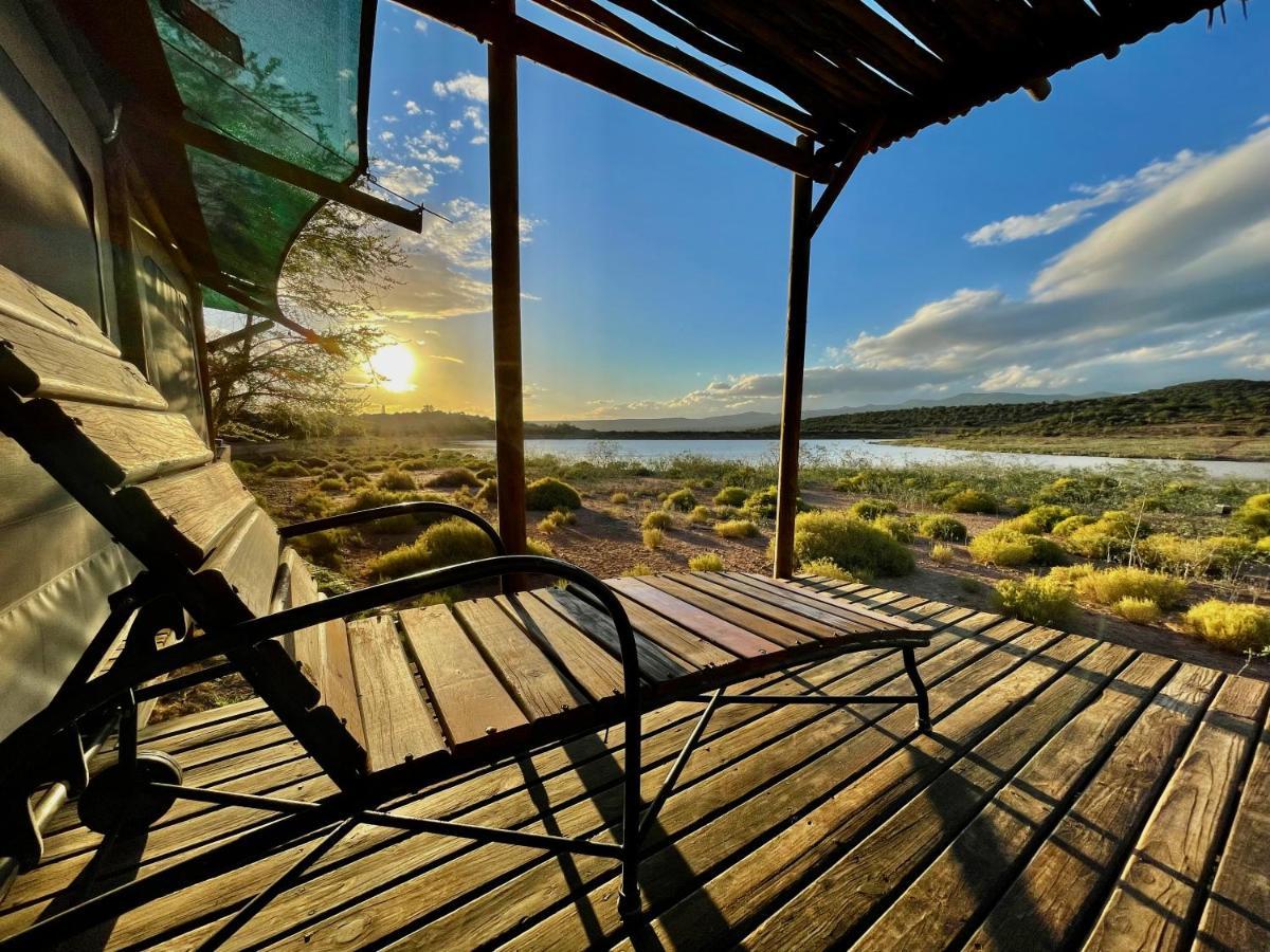 Buffelsdrift Game Lodge Oudtshoorn Exterior photo