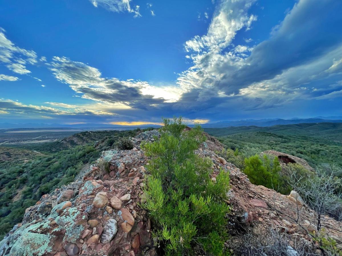 Buffelsdrift Game Lodge Oudtshoorn Exterior photo