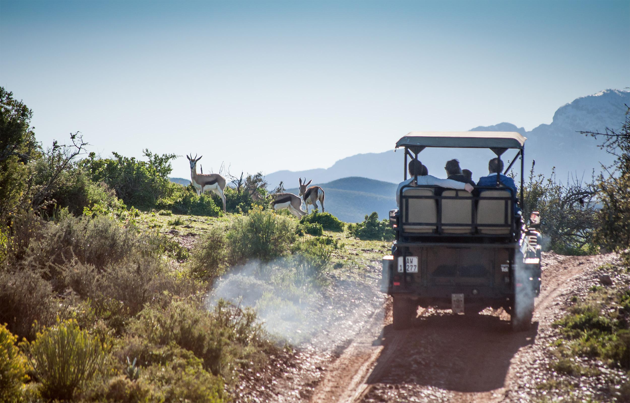 Buffelsdrift Game Lodge Oudtshoorn Exterior photo