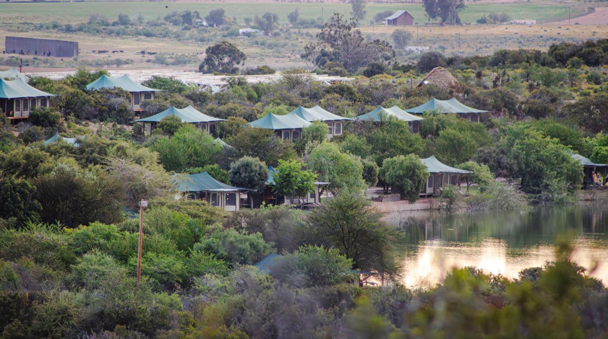 Buffelsdrift Game Lodge Oudtshoorn Exterior photo