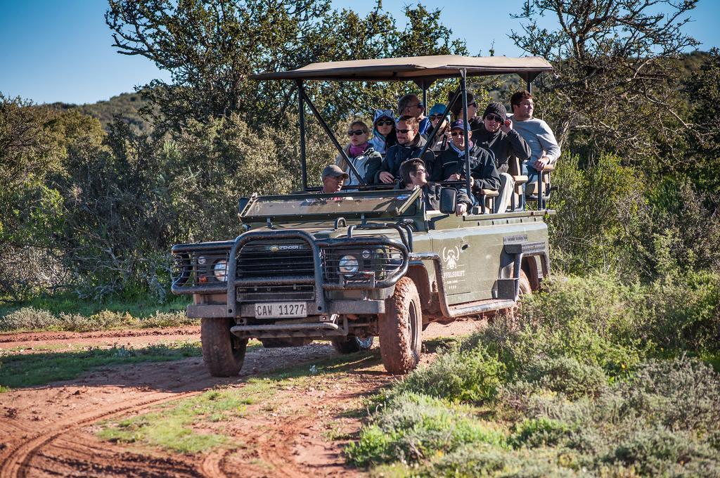 Buffelsdrift Game Lodge Oudtshoorn Exterior photo